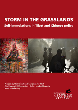 ICT report Storm in the Grassland